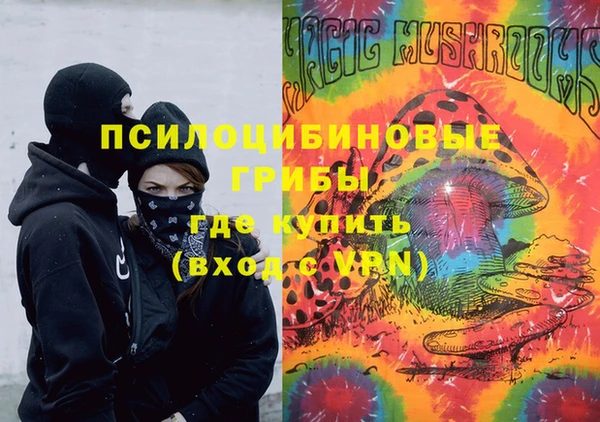 ПСИЛОЦИБИНОВЫЕ ГРИБЫ Балабаново