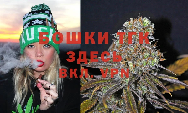 ПСИЛОЦИБИНОВЫЕ ГРИБЫ Балабаново